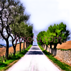 道路,自然风光,黑色PNG