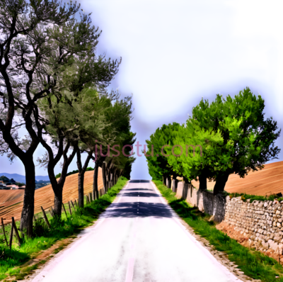 道路,自然风光,黑色, PNG