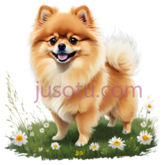 博美犬,卡通,棕色PNG