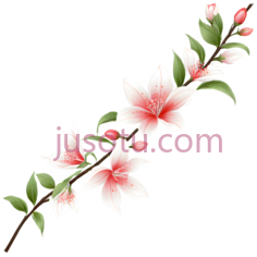 花朵,插画,白色,粉色,绿色PNG