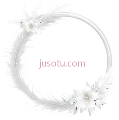 羽毛花环,白色, PNG