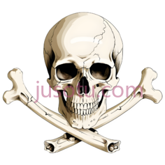 头骨,骨骼PNG