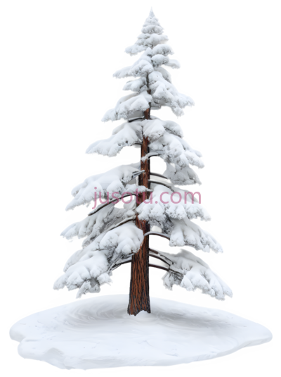 雪松,卡通,白色, PNG