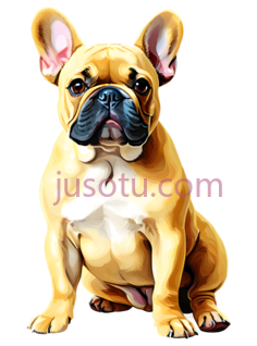 法式斗牛犬PNG