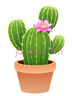 仙人掌,卡通,绿色PNG