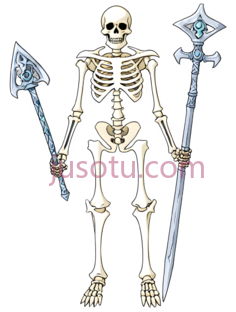 骨骼,圣骑士PNG