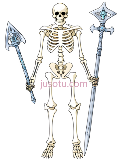 骨骼,圣骑士, PNG