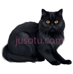 长毛猫, PNG