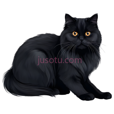 长毛猫, PNG