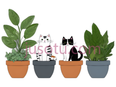 盆栽,猫咪,卡通,白色,黑色PNG
