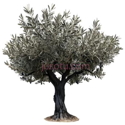 树,3D,灰色, PNG