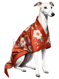 狗,穿着红色带白色花朵图案的衣服,白色PNG