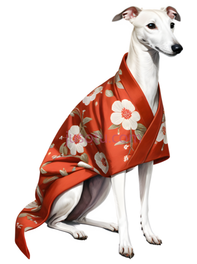 狗,穿着红色带白色花朵图案的衣服,白色, PNG