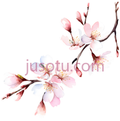 樱花,插画,粉色, PNG