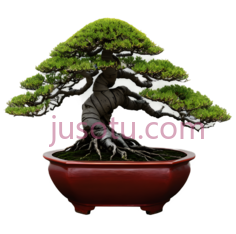 古典,独木盆景PNG