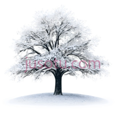 树,雪花, PNG