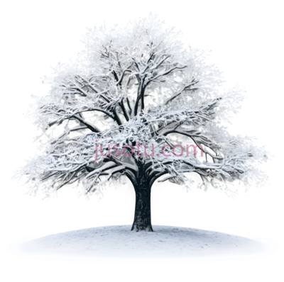 树,雪花, PNG