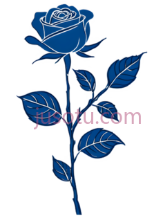 玫瑰,线条,蓝色PNG