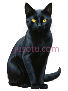 猫,插画,黑色PNG