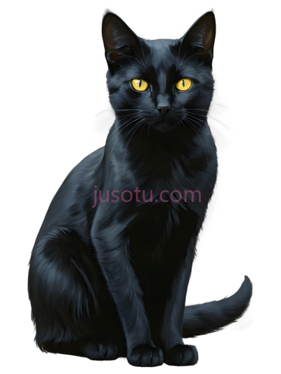 猫,插画,黑色, PNG