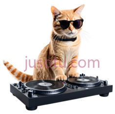 猫咪,墨镜PNG
