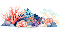珊瑚礁,插画,粉色,蓝色,紫色PNG