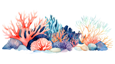 珊瑚礁,插画,粉色,蓝色,紫色, PNG