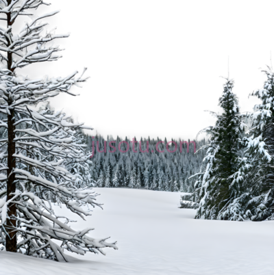 雪地,森林, PNG