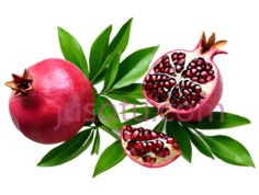 石榴,绿叶PNG