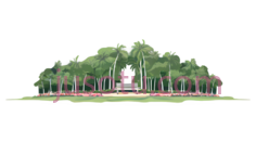 树木,3D,绿色PNG