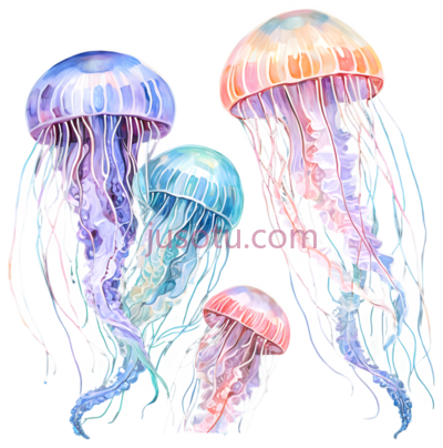 海葵, PNG