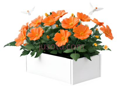 花,盆栽,橙色, PNG