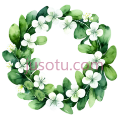花环,水彩画,白色,绿色PNG