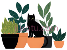 多肉植物,盆栽植物,插画,绿色,橙色PNG