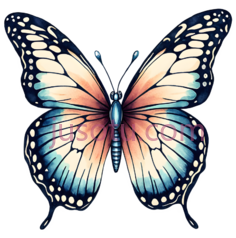 蝴蝶,卡通,蓝色,黄色,白色PNG