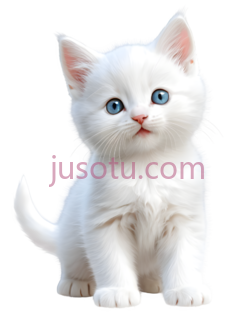 可爱,猫咪,卡通PNG