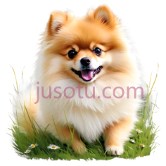 博美犬,卡通,黄色,白色PNG