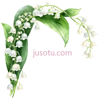 铃兰,插画,白色, PNG