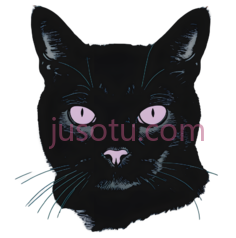 猫,插画,黑色PNG