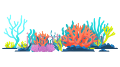 珊瑚礁, PNG