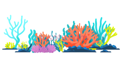 珊瑚礁, PNG
