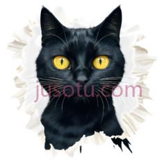 猫,撕裂纸张效果,黑色PNG