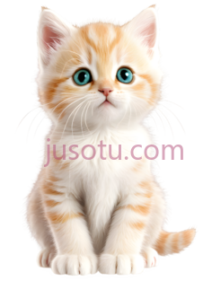 小猫,卡通,橘白相间PNG