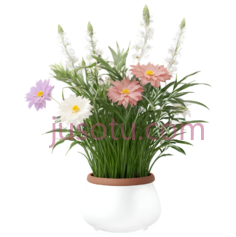 花,盆栽,紫色,白色,粉色PNG