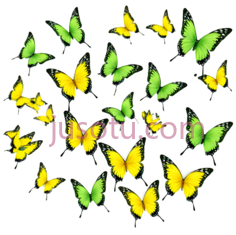 蝴蝶,卡通,绿色,黄色PNG