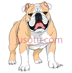 斗牛犬,卡通,浅棕色,白色PNG