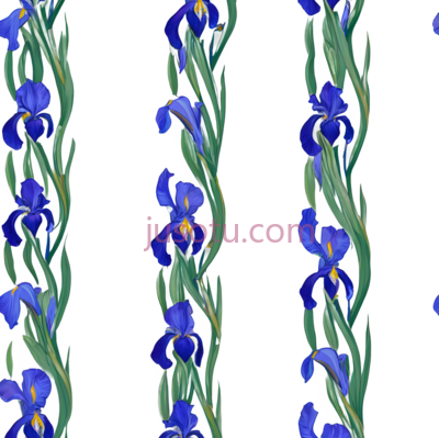 鸢尾花, PNG
