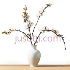 花瓶,白梅PNG