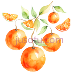 橙子,水彩画,橙色PNG