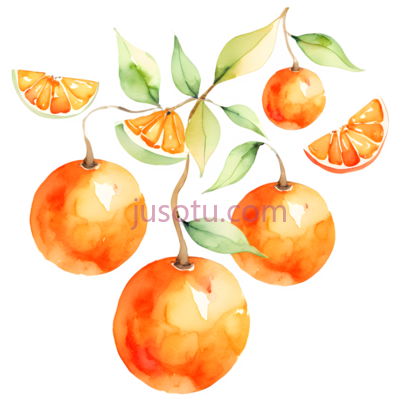 橙子,水彩画,橙色, PNG